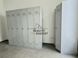 Pronájem komerční nemovitosti, Hodonín, Kolískova, 33 m2