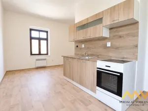 Pronájem bytu 1+kk, Hradec Králové - Nový Hradec Králové, Hlavní, 21 m2
