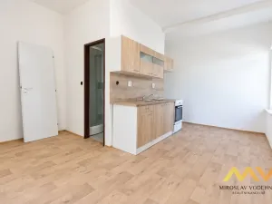 Pronájem bytu 1+kk, Hradec Králové - Nový Hradec Králové, Hlavní, 21 m2