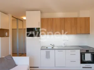 Prodej bytu 1+kk, Zlín, Zálešná II, 31 m2