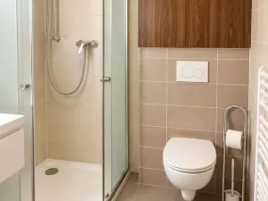Pronájem bytu 1+kk, Olomouc, Janského, 32 m2