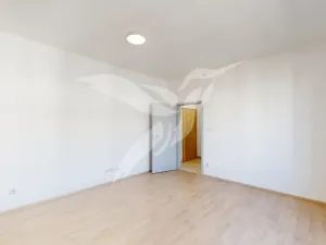 Pronájem bytu 1+kk, Plzeň, Železná, 30 m2