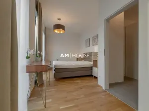 Pronájem bytu 2+kk, Praha - Karlín, Breitfeldova, 55 m2