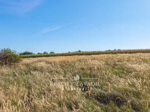 Prodej pozemku pro bydlení, Chlístov - Žabovřesky, 1248 m2