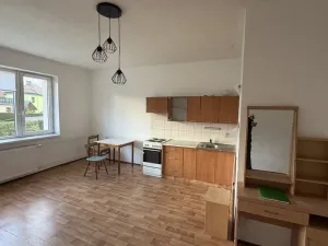 Pronájem bytu 1+kk, Zruč nad Sázavou, Mládeže, 33 m2