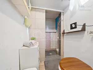 Prodej chaty, Velký Týnec, 16 m2
