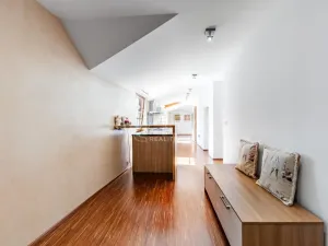 Pronájem bytu 4+kk, Beroun - Beroun-Centrum, Česká, 230 m2