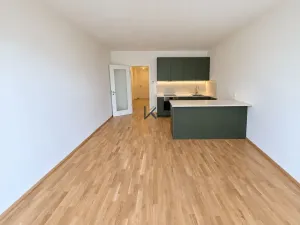Pronájem bytu 1+kk, Praha, Švarcova, 36 m2
