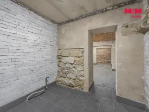 Prodej obchodního prostoru, Praha, Seifertova, 110 m2