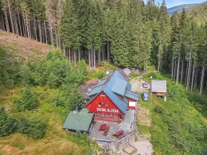 Prodej chalupy, Vítkovice, 500 m2