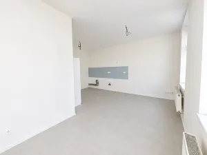 Pronájem bytu 1+kk, Brno, Cejl, 30 m2