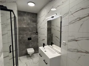 Pronájem bytu 2+kk, Opava, Otická, 55 m2