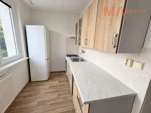 Pronájem bytu 2+1, Chomutov, Borová, 55 m2