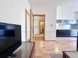 Pronájem bytu 2+kk, Praha - Smíchov, Na Zatlance, 45 m2
