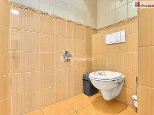 Prodej rodinného domu, Chlum u Třeboně, Chelčického, 570 m2