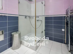 Pronájem bytu 2+kk, Praha - Smíchov, U Blaženky, 51 m2