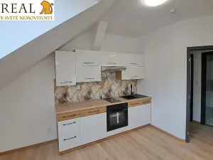 Pronájem bytu 1+kk, Šebrov-Kateřina, 44 m2