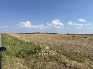 Prodej rodinného domu, Dohalice - Horní Dohalice, 80 m2
