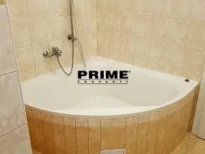 Pronájem bytu 3+kk, Praha - Nové Město, Záhořanského, 124 m2