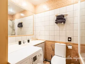 Pronájem bytu 1+kk, Praha - Nusle, Slavojova, 26 m2