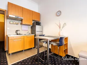 Pronájem bytu 1+kk, Praha - Nusle, Slavojova, 26 m2