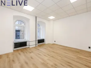 Pronájem kanceláře, Plzeň, Tylova, 22 m2