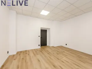 Pronájem kanceláře, Plzeň, Tylova, 22 m2