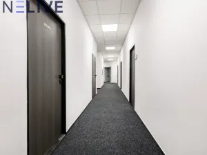 Pronájem kanceláře, Plzeň, Tylova, 17 m2