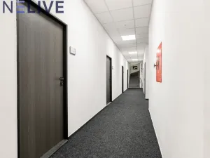 Pronájem kanceláře, Plzeň, Skrétova, 22 m2