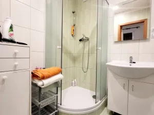 Pronájem bytu 2+1, České Budějovice, Prachatická, 52 m2