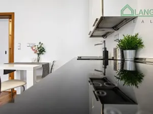 Pronájem bytu 1+kk, Brno, Hybešova, 36 m2