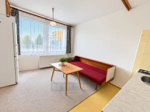 Prodej bytu 2+kk, České Budějovice - České Budějovice 2, O. Nedbala, 35 m2