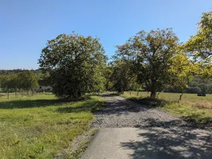 Prodej pozemku pro bydlení, Březová, 886 m2