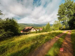 Prodej komerčního pozemku, Železná Ruda - Špičák, 4134 m2