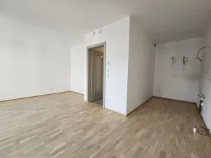 Pronájem bytu 1+kk, Praha, Hartigova, 44 m2