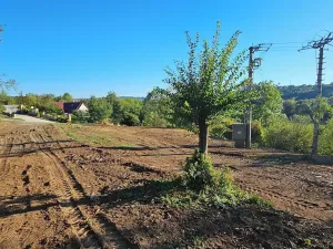 Prodej zahrady, Letovice, Pražská, 2232 m2