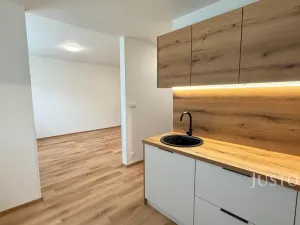 Pronájem bytu 3+1, Teplice, Karla Čapka, 82 m2
