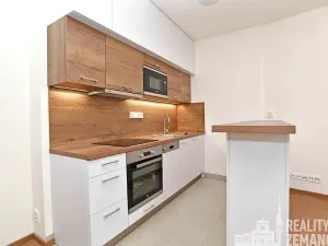 Pronájem bytu 1+kk, Praha - Vinohrady, Řipská, 30 m2