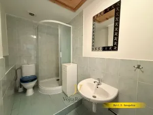 Prodej činžovního domu, Olomouc, Riegrova, 824 m2