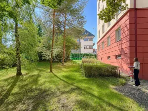 Pronájem bytu 2+1, Praha - Žižkov, Viklefova, 60 m2