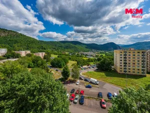 Pronájem bytu 1+1, Ústí nad Labem, Peškova, 38 m2