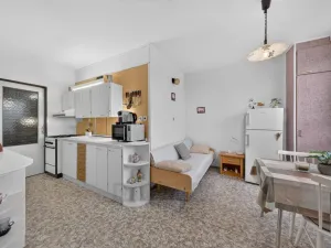 Prodej bytu 2+1, České Budějovice - České Budějovice 2, Větrná, 63 m2