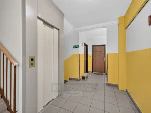 Prodej bytu 2+1, České Budějovice - České Budějovice 2, Větrná, 63 m2
