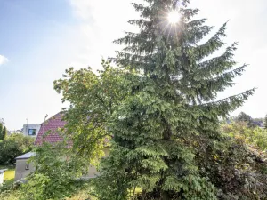 Pronájem bytu 3+kk, Kostelec nad Černými lesy, 54 m2
