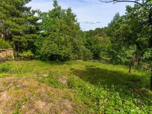 Prodej chalupy, Chvaletice - Hornická Čtvrť, 64 m2
