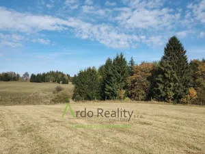 Prodej pozemku, Přední Výtoň, 13285 m2