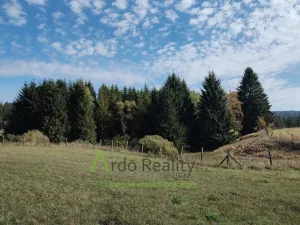 Prodej pozemku, Přední Výtoň, 13285 m2