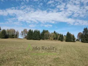 Prodej pozemku, Přední Výtoň, 13285 m2