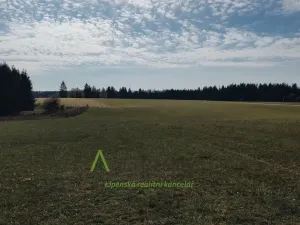 Prodej pozemku, Přední Výtoň, 13285 m2