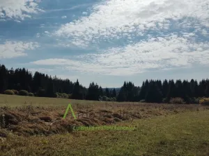 Prodej pozemku, Přední Výtoň, 13285 m2